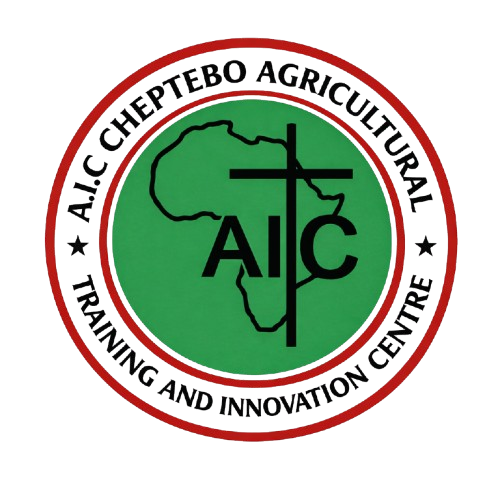 CATIC Logo
