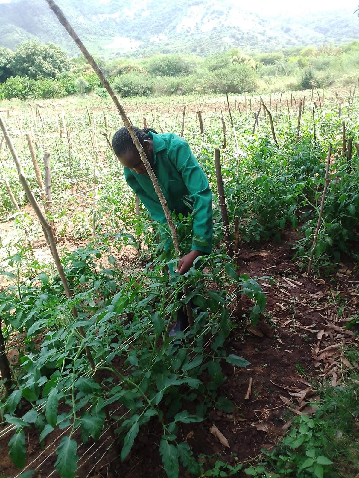 General Agriculture Trainees on Practicals